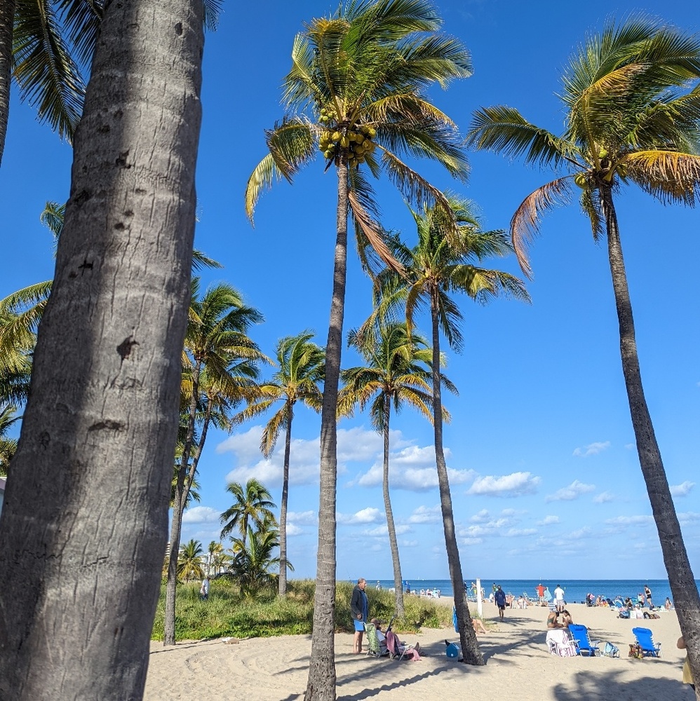 Meet your Posher, Peter